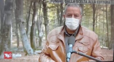 La nostra faggeta in TV [Tg2]